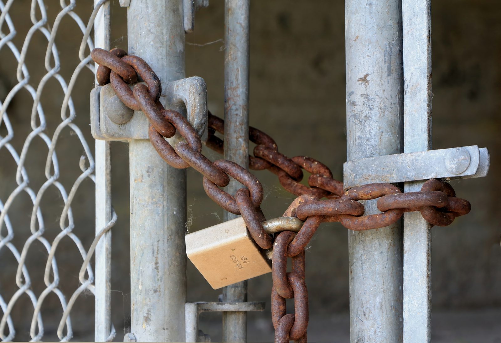 GDPR and Privacy